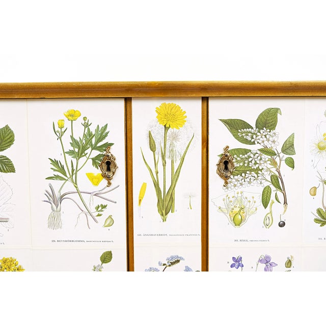 Swedish Modern Sideboard with Nordens Flora Illustrations, 1930s For Sale - Image 6 of 8