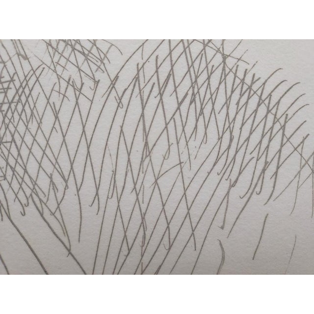 Joan Hernandez Pijuan, PL1, 1982, Engraving For Sale - Image 4 of 5