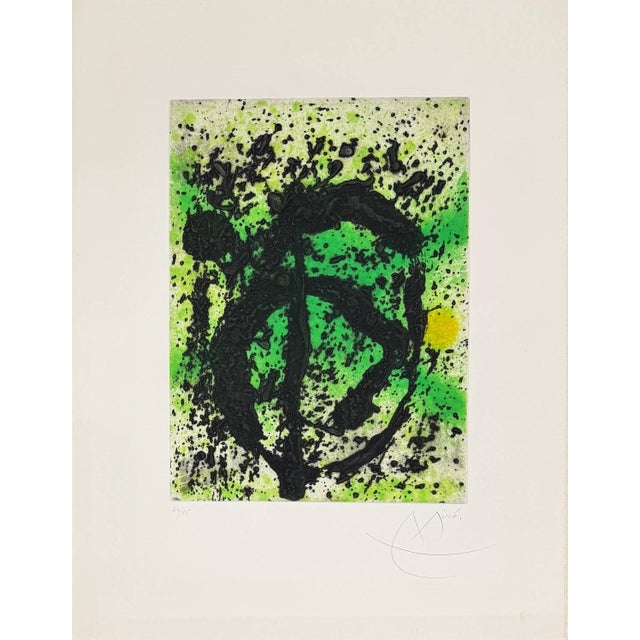 Joan Miró, Règne végétal (Plant Kingdom), 1981, Aquatint For Sale - Image 4 of 7