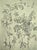 Gray 1902 Set of 2- Antique French Botanicals-Wisteria, Fushia, Documentation For Sale - Image 8 of 10