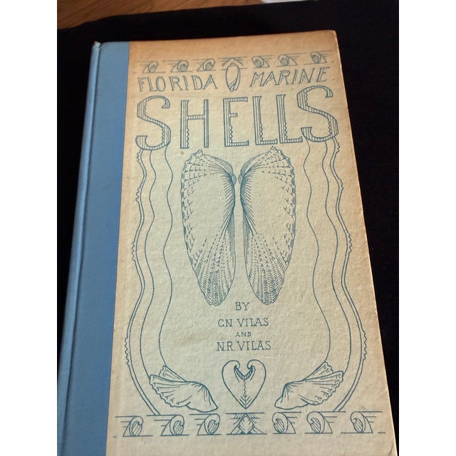 A rare find! This classic 1945 book on Florida Marine Shells is a wonderful guide to amateur collectors of Florida marine...