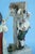 19th Century Porcelain Jester in the Pillory and King from Imperial Manufactory Vienna, Austria For Sale - Image 17 of 18