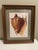 Vintage Seashell Print, Framed For Sale - Image 4 of 6