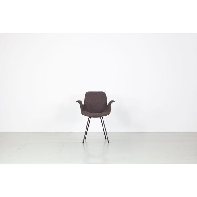 Model Medea Chairs with Fabric Cover by Vittorio Nobili for Frattelli Tagliabue, 1960s, Set of 3 For Sale - Image 13 of 18