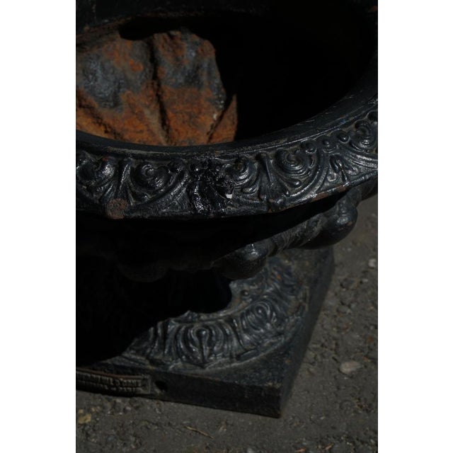 1920s Antique French Cast Iron Garden Urn with Decorative Rim, 1920s For Sale - Image 5 of 16