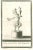 Ancient roman statue of satyr, from the series "antiquities of herculaneum", is an original etching on paper realized by...