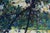 This pastel on board artwork captures a serene landscape, featuring a lush interplay of foliage and water. The vibrant...