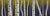 Untitled by Thane Gorek | Oil on Board Painting of a forest with birch trees and colorful foliage For Sale