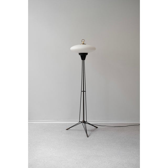 Mid-Century Modern Mid-Century Modern Italian Floor Lamp from Stilnovo, 1950s For Sale - Image 3 of 9