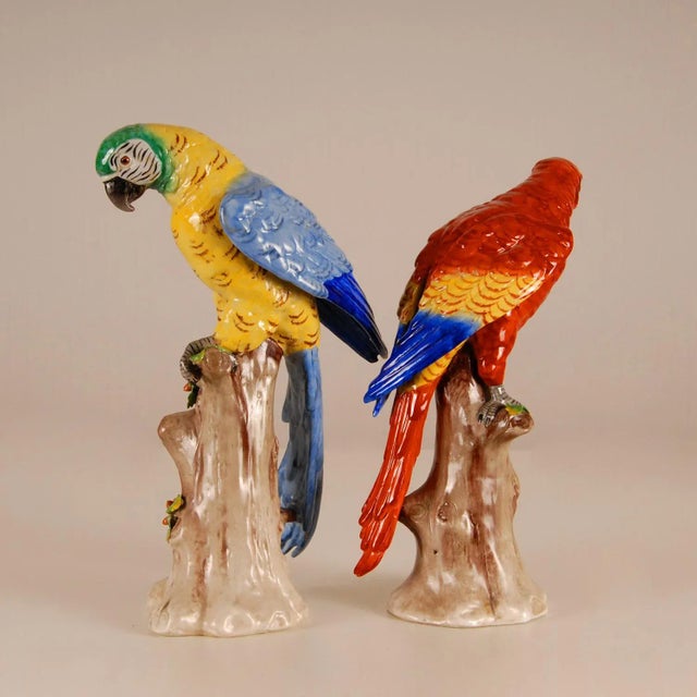 Dresden Porcelain Antique Victorian Ceramic Macaw Parrots Birds German Dresden Saxe Porcelain Animal Figurine - a Pair For Sale - Image 4 of 9