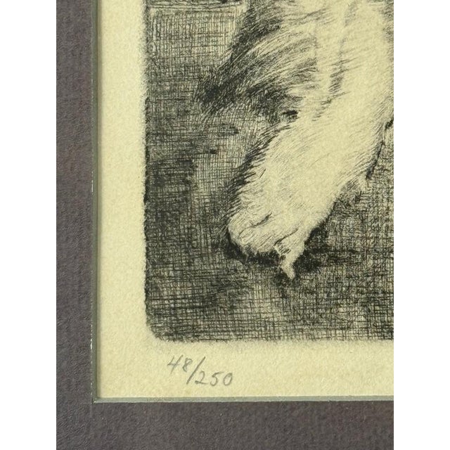 Don Swann ( 1889-1954 Us) Signed "Pekingese" Etching #48/250 LTD Ed Print Framed For Sale In Philadelphia - Image 6 of 9