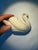 Late 20th Century Lenox Porcelain Swan Salt Cellar/Cake Topper For Sale - Image 6 of 6