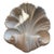 Plaster Shell Wall Lamp, 1950s For Sale - Image 13 of 13