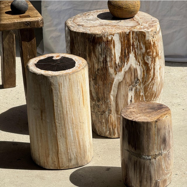 Large Side Table in White and Grey Petrified Wood For Sale - Image 11 of 18