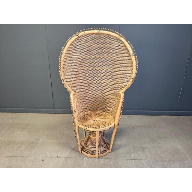 Vintage Wicker Peacock Chair, 1970s For Sale - Image 12 of 14