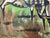 Green 1970s Abstract Expressionist Oil Painting of 2 Steers on Canvas, Newly Framed For Sale - Image 8 of 10