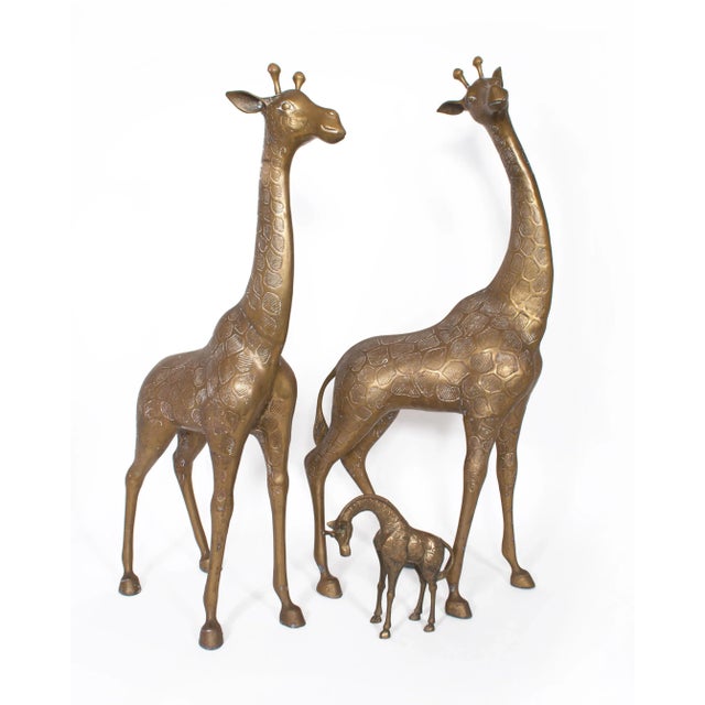 Hollywood Regency Large Brass Giraffes - a Pair For Sale - Image 12 of 13