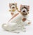 This wonderful pair of Dresden porcelain pug figurines depicts a male and female each intricately hand painted with...
