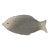 Large Fitz & Floyd Fish Platter For Sale