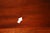 Stickley Traditional Mahogany Flip-Top Server Cabinet For Sale - Image 10 of 18
