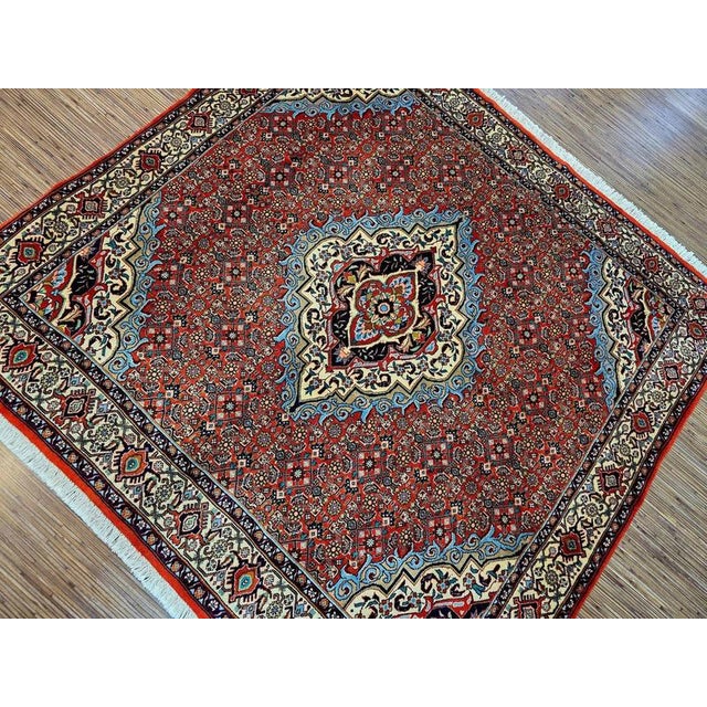 Hand-knotted Bidjar | Material: Virgin wool on cotton | Size: 150 x 150 cm | Condition: New with tags | Color: Red Bijar