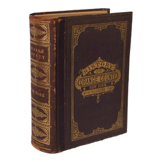 History of Orange County, New York, Everts & Peck 1881 For Sale