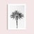 Black Contemporary Minimalist Black and White 'Palm Tree' Art Print, Large 40 X 60" Fine Art Photography Print, Tropical Coastal Artwork For Sale - Image 8 of 8