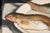 Edouard Arthur, Freshwater Fish on a White Plate, Oil on Canvas For Sale - Image 4 of 11