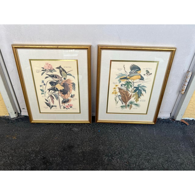 Mid Century Pair of Framed Audubon Bird & Flower Prints Signed Arthur Singer -2 For Sale In West Palm - Image 6 of 10