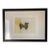 Mary Mackey Artist Mixed Media Abstract Expressionist For Sale