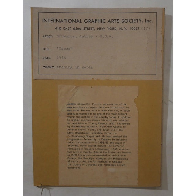 Paper Vintage Aubrey Schwartz - "Trees" Framed Limited Edition Etching (#188/210) (1965) (American) For Sale - Image 7 of 7
