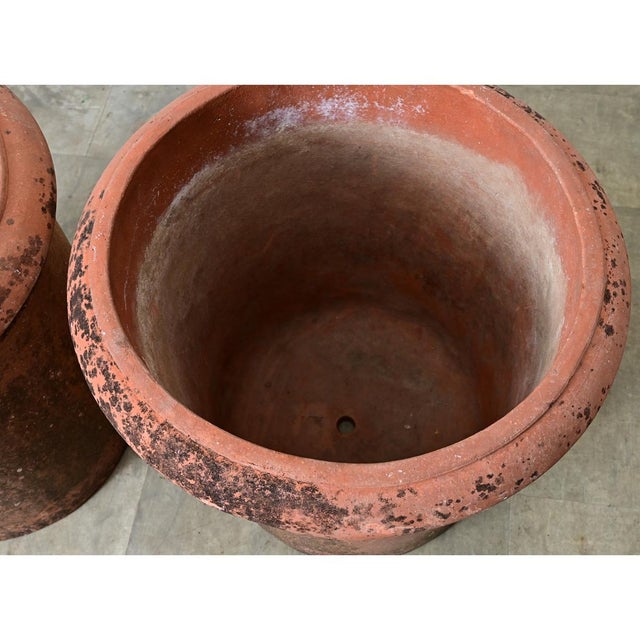 English Pair of Large 20th Century Terracotta Planters For Sale - Image 10 of 11