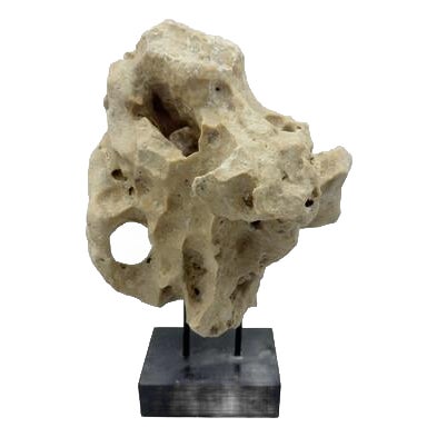 Indonesian Coral Stone On Teak Stand For Sale