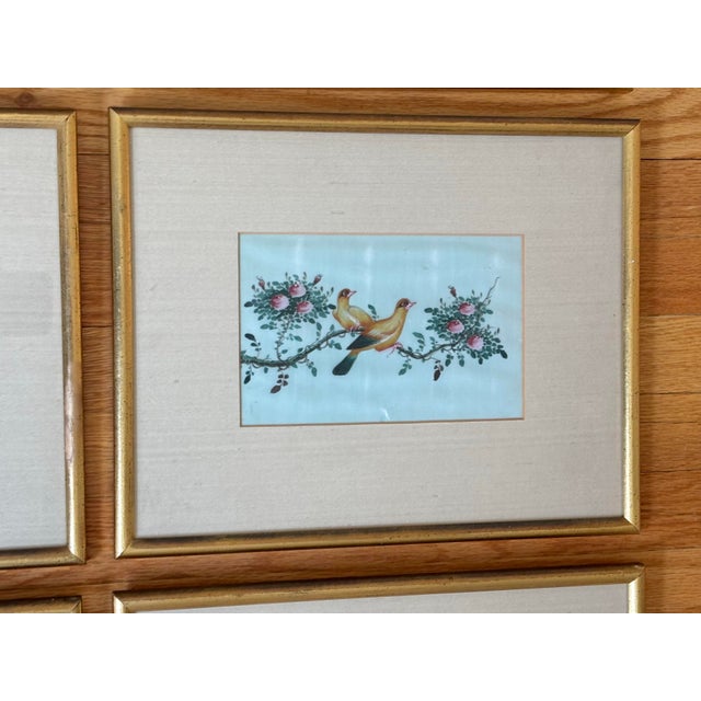 English Antique Chinese Export Gouache Bird Paintings on Pith, Set of 6 For Sale - Image 3 of 12