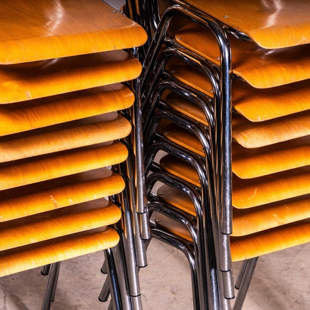 2000 - 2009 20th Century Dutch University Stacking Dining Chair, Set of 4 For Sale - Image 5 of 10