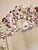 Seashell Encrusted Wall Mirror, Coastal Grandma Decor, Scallop Shell Accent For Sale - Image 4 of 16