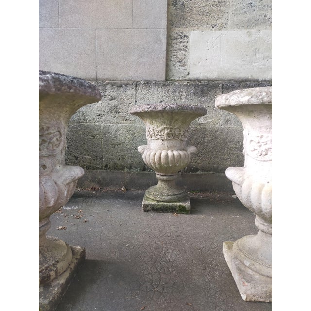 Medici-Style Garden Pot in Reconstituted Stone, 1960s For Sale - Image 10 of 12