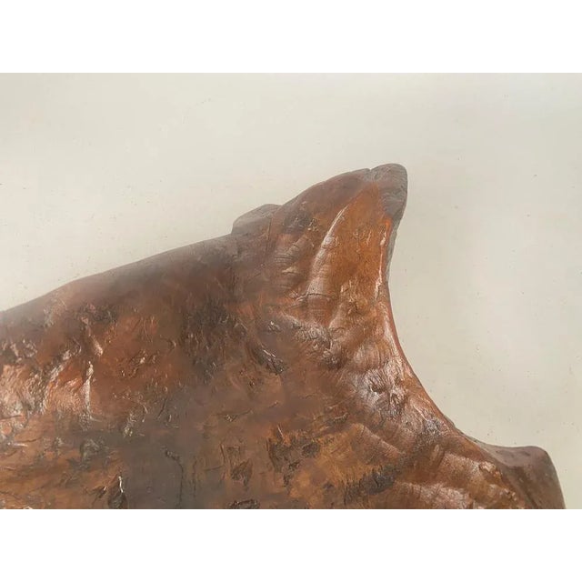 Brown Brutalist Root Wood Vide Poche or Bowl, France, 1960s For Sale - Image 8 of 12