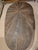 Uttermost Reclaimed Elm Wood Coffee Table Titled 'Leveni' by Uttermost For Sale - Image 4 of 7