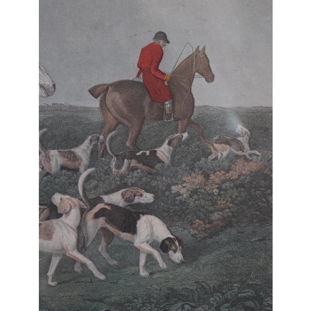 Framed Engraving Print of Stag Hounds Hunt Scene For Sale - Image 9 of 13
