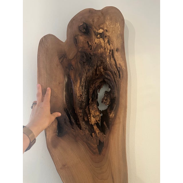 One-of-a-Kind Sculptural Live Edge Wood Wall Art For Sale In Los Angeles - Image 6 of 8