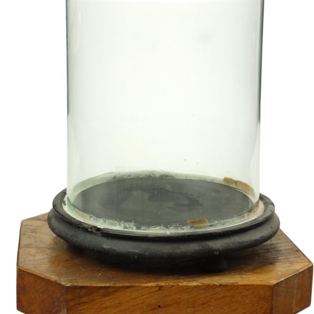 Antique Mouth-Blown Glass Dome Globe, 1890s For Sale - Image 11 of 12