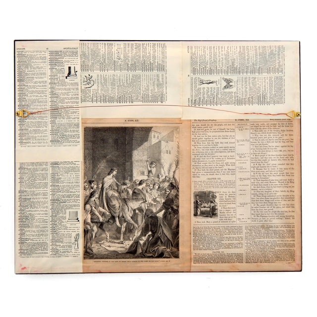 Black Matt Rix, Bengal Tiger Facing Left, 2000s, Oil on Board For Sale - Image 8 of 13