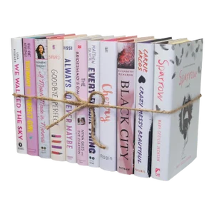 Decorative Books - Blush Dust Jacket Book Bundle - 1 Foot of Pink Books
