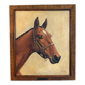 Oil Painting of Thoroughbred Racehorse, 1961, Golden Honors Horse Witch-Hazel, Esterling. By Artist Snow in 1961 Oil on Canvas