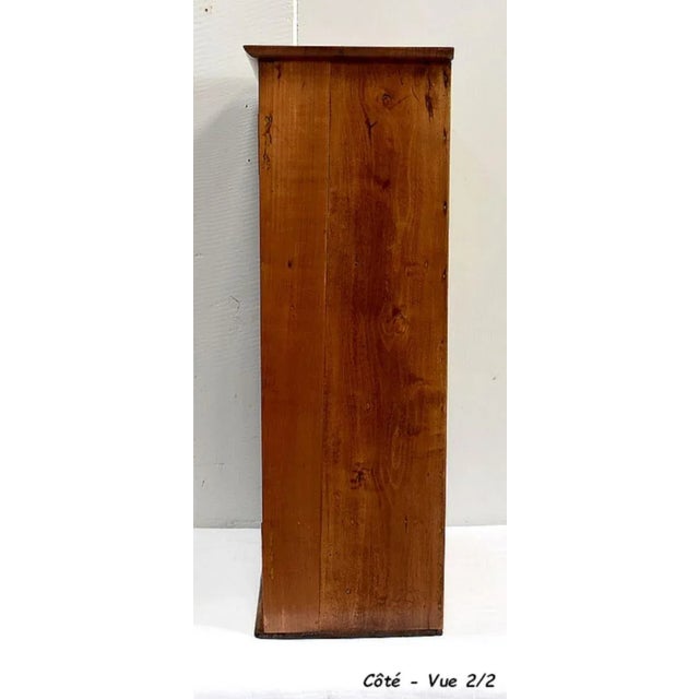 Small 19th Century Birch Wall Display Cabinet For Sale - Image 14 of 18