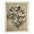 1902 Antique French Botanical Photographic Lithograph, the Azaela, With Documentation For Sale