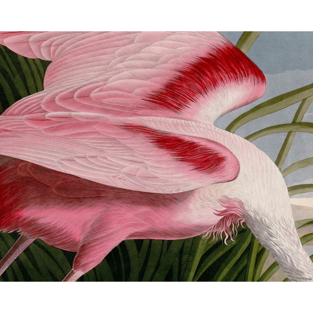 John James Audubon Audubon Roseate Spoonbill Giclee Print For Sale - Image 4 of 8