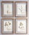 Original antique Finnish herbarium samples set in fresh and contemporary floating frames, which allow the walls to show...