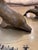 Mid 20th Century Brass Tabletop Dolphin Pod For Sale - Image 5 of 6